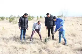 Doğu Anadolu'da Ağaçlandırma Kampanyası