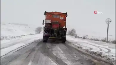Doğu Anadolu'da Şiddetli Kar Fırtınası: Yollar Kapandı!