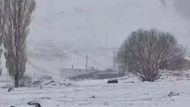 Doğu Anadolu'da Şiddetli Kar Yağışı