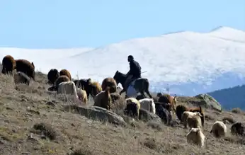 Doğu Anadolu'da Şiddetli Soğuk ve Sis Uyarısı