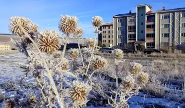 Doğu Anadolu'da Yoğun Sis ve Kış Şartları