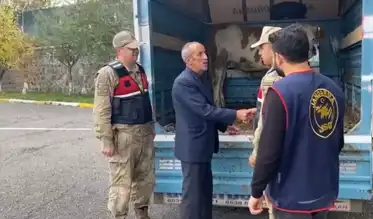 Doğu Anadolu'da 60 Çalıntı Hayvan Bulundu!
