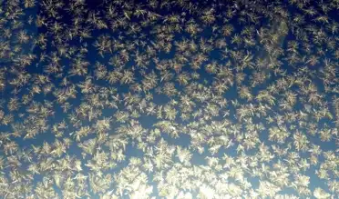 Doğu Anadolu'da Soğuk ve Karlı Hava