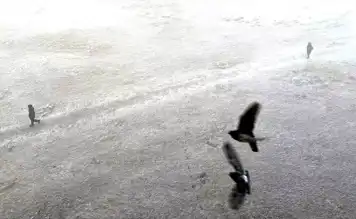 Kars'ta Kar Yağışı, Ardahan'da Şiddetli Soğuk