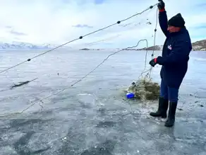 Çıldır Gölü'nde Eskimo Usulü Balık Avı Başladı