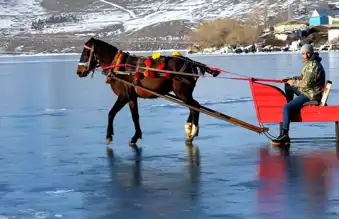 Çıldır Gölü'nde Atlı Kızak Heyecanı!