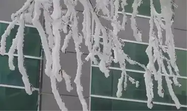 Türkiye'nin En Soğuk Noktası: Göle -33,8 Derece