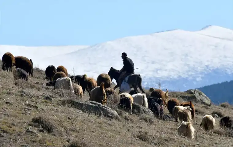 Doğu Anadolu'da Şiddetli Soğuk ve Sis Uyarısı