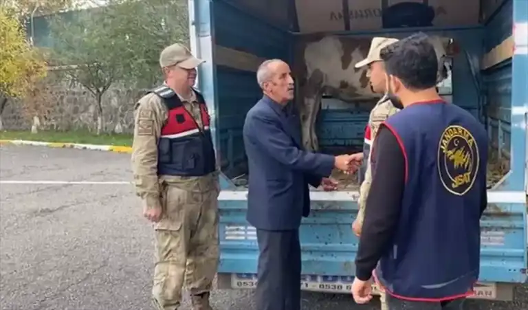Doğu Anadolu'da 60 Çalıntı Hayvan Bulundu!