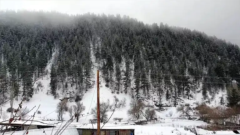 Kars ve Ardahan'da Yoğun Kar Yağışı ve Soğuk Hava!