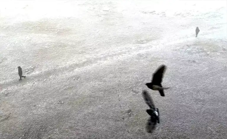 Kars'ta Kar Yağışı, Ardahan'da Şiddetli Soğuk