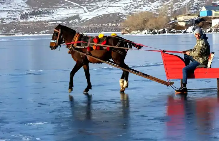Çıldır Gölü'nde Atlı Kızak Heyecanı!